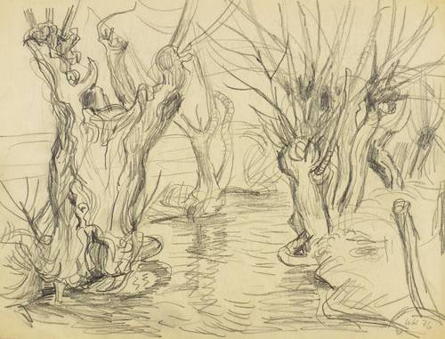 Haselhuhn, Werner -  -  - Weiden am Flussufer