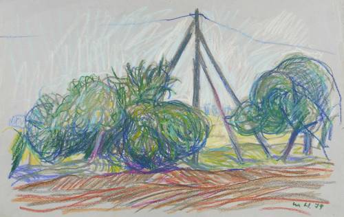 Haselhuhn, Werner -  -  - Feldrand und Telegrafenmast