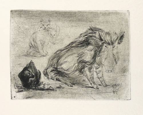 Hegenbarth, Josef -  -  - Sau mit Katzen (Wildschwein und Katzen)