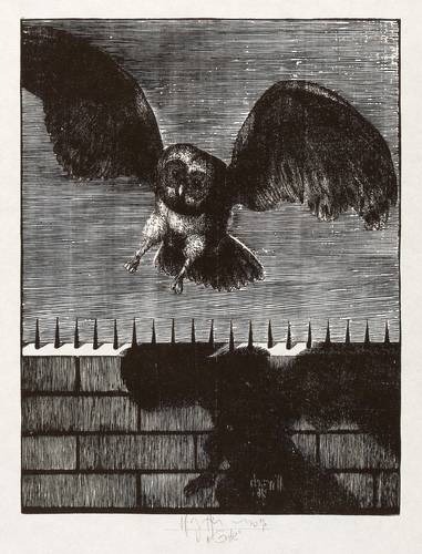 Hirsch, Karl-Georg -  -  - Eule