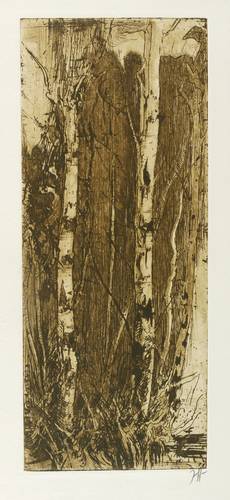 Janssen, Horst -  -  - Dürerweg (Zwei Birken)