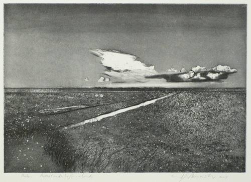 Werkmeister, Wolfgang -  -  - Moorlandschaft - abends