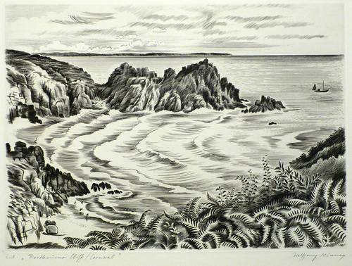 Niesner, Wolfgang -  -  - Portheusus Cliff / Cornwall