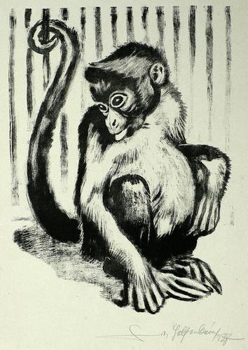 Helfenbein, Walter -  -  - Äffchen im Zoo
