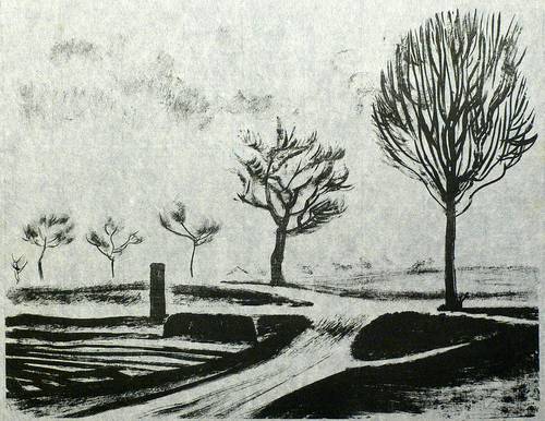 Helfenbein, Walter -  -  - Straße im Moritzburger Land