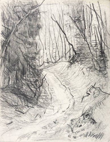 Adler-Krafft, Maria -  -  - Waldweg (Dresdner Heide)