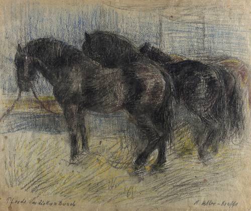 Adler-Krafft, Maria -  -  - Pferde im Zirkus Busch