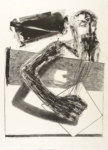 Volmer, Steffen -  -  - Nicht zu fassen!