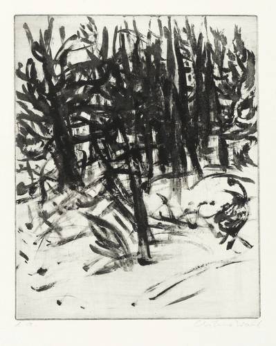 Wahl, Christine -  -  - Wald