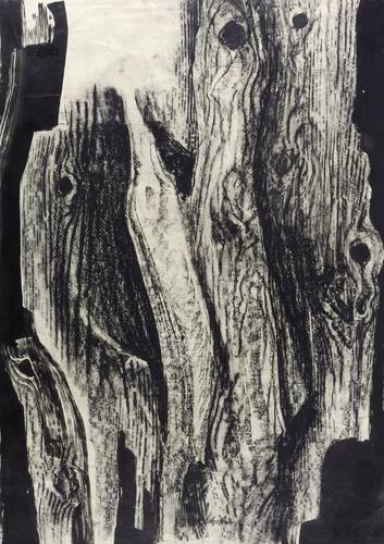 Schicker, Franz -  -  - Ohne Titel (Baumrinden)