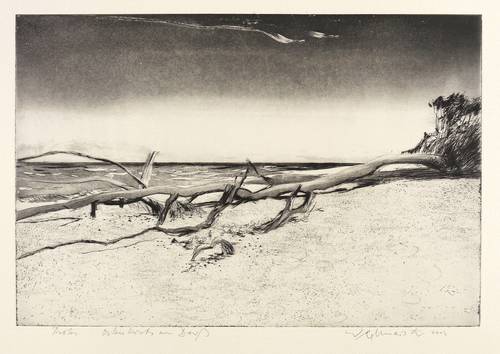 Werkmeister, Wolfgang -  -  - Ostseeküste am Darß