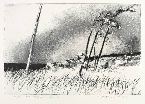 Werkmeister, Wolfgang -  -  - Drei Kiefern am Darß