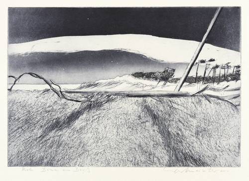 Werkmeister, Wolfgang -  -  - Dünen am Darß II