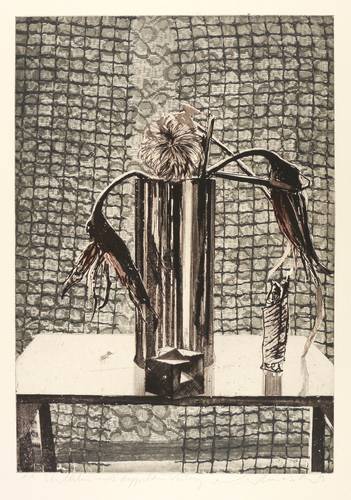 Werkmeister, Wolfgang -  -  - Stillleben mit doppeltem Vorhang