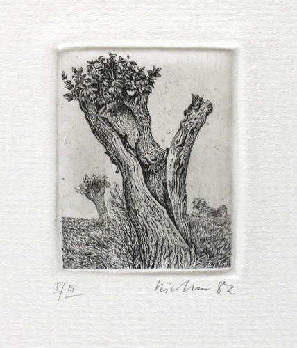 Richter, Gerenot - Torsi - Torsi - Linde