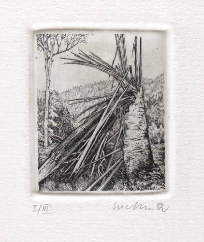 Richter, Gerenot - Torsi - Torsi - Buche