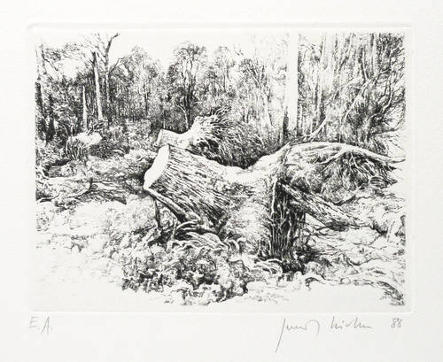 Richter, Gerenot -  -  - Torsi im Stadtpark