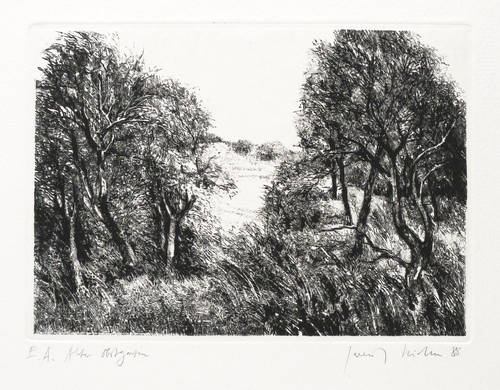 Richter, Gerenot -  -  - Alter Obstgarten