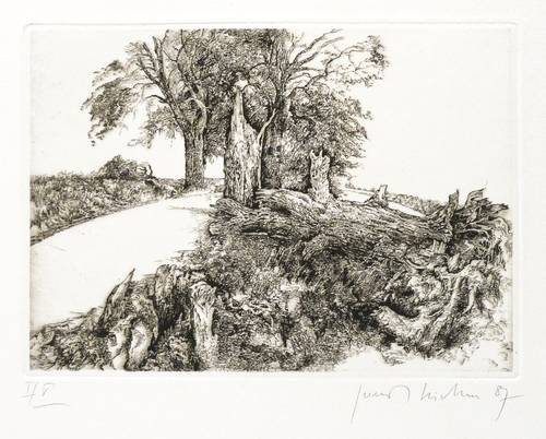 Richter, Gerenot -  -  - Straßenbäume