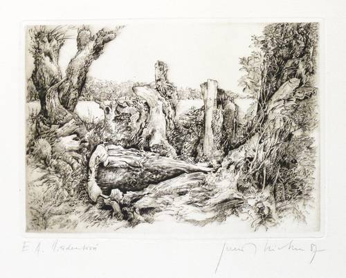 Richter, Gerenot -  -  - Weidentorsi