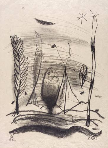 Zille, Rainer -  -  - Meeresfauna