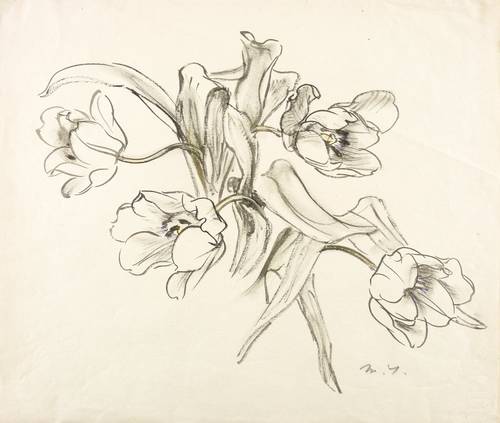 Junge, Margarete -  -  - Tulpen