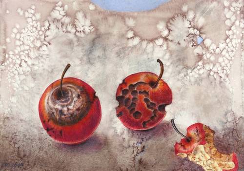 Adler, Leonore -  -  - Zwei faule Äpfel und ein Griebs