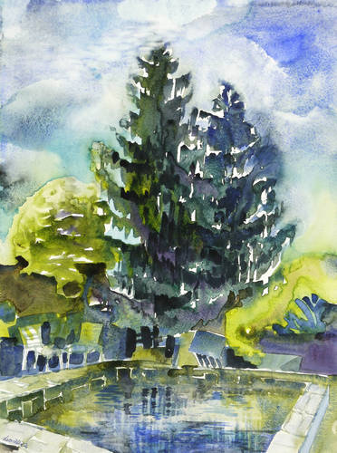 Adler, Leonore -  -  - Zwei Tannen am Pool