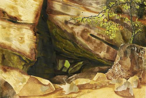 Adler, Leonore -  -  - Die Wand