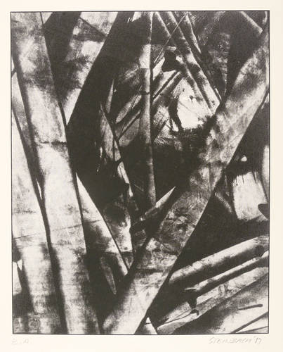 Steinbach, Jörg -  -  - Abstrakte Landschaft