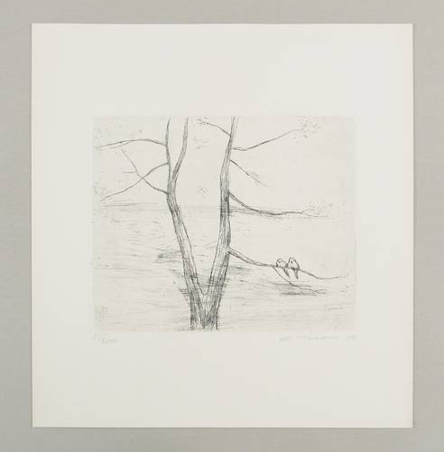 Mohr, Arno -  -  - baum mit Vögeln