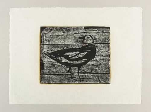 Janssen, Horst -  -  - Möwe