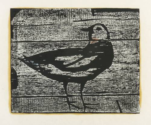 Janssen, Horst -  -  - Möwe