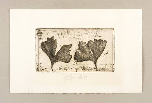 Kammerer, Anton Paul -  -  - Ginko-Blätter