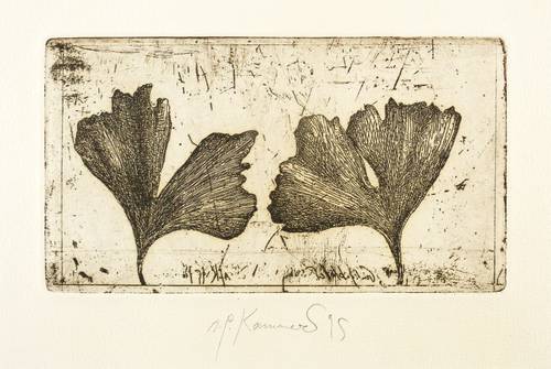 Kammerer, Anton Paul -  -  - Ginko-Blätter