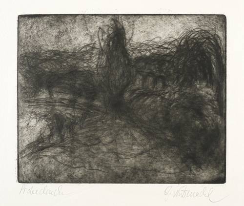 Nützenadel, Gudrun -  -  - Landschaft