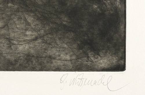 Nützenadel, Gudrun -  -  - Landschaft