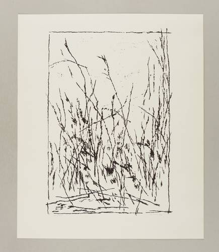 Gabriel, Manfred -  -  - Ohne Titel (Gestrüpp)