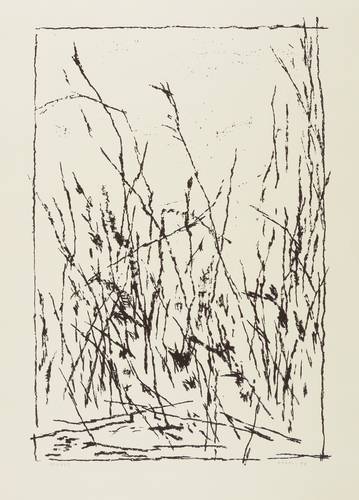 Gabriel, Manfred -  -  - Ohne Titel (Gestrüpp)
