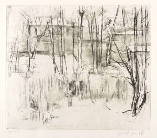 Klotz, Siegfried -  -  - Häuser hinter Bäumen (Dresden)