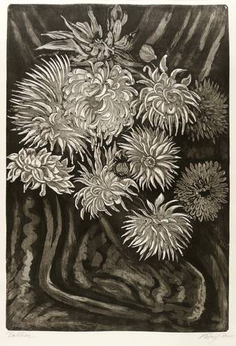 Körnig, Hans -  -  - Dahlien