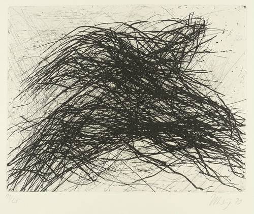 Uhlig, Max -  -  - Baumkronenform