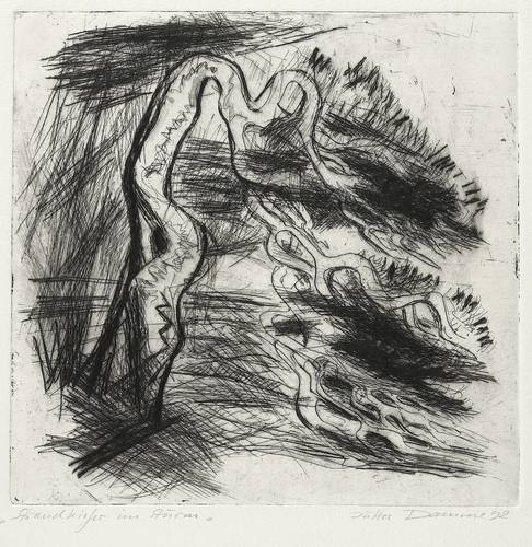 Damme, Jutta -  -  - Strandkiefer im Sturm