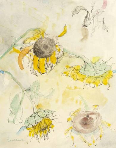 Burkhardt, Heinrich -  -  - Sonnenblumen