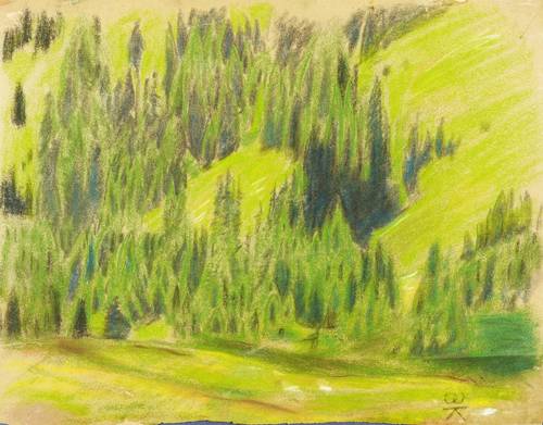 Enderlein, Karl -  -  - Gebirgswald