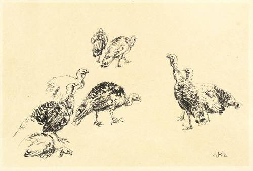 Klemm, Walther -  -  - Truthühner