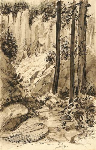 Zeising, Franz Emil -  -  - Wehlgrund bei Rathen