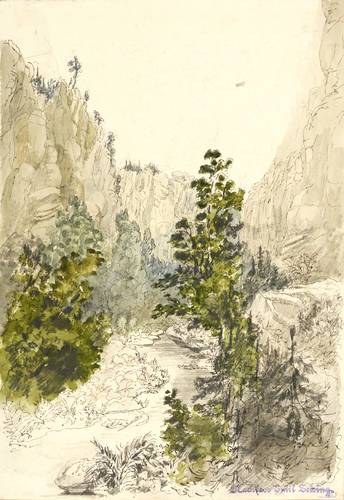 Zeising, Franz Emil -  -  - Partie im Kirnitzschtal