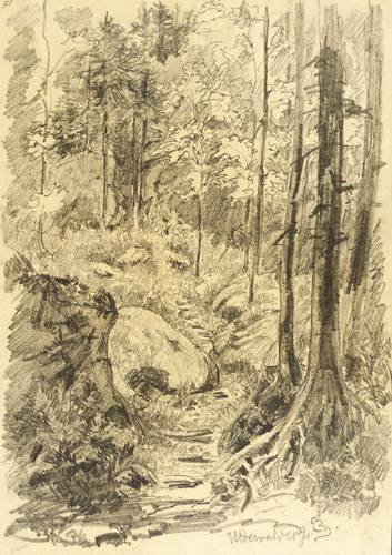 Zeising, Franz Emil -  -  - Uttewalder Grund