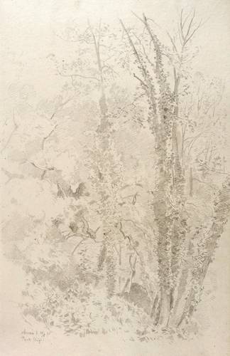 Neubert, Louis -  -  - Park Chigi in Ariccia